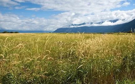Какво е приватизация, приватизация на жилища, земя, апартамент, земя