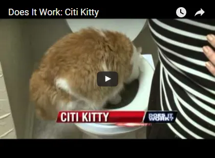Citikitty - настроен да привикнат котката до тоалетната от 600 рубли