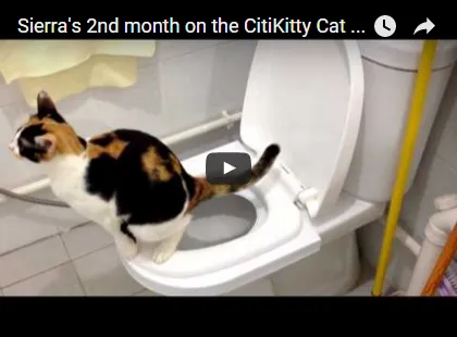 Citikitty - настроен да привикнат котката до тоалетната от 600 рубли