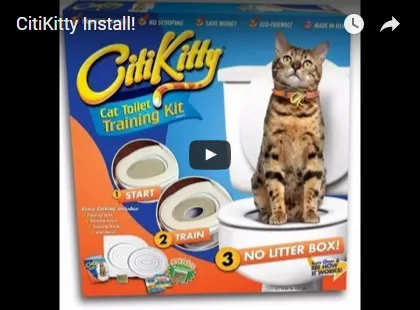 Citikitty - настроен да привикнат котката до тоалетната от 600 рубли