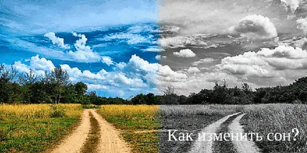 Какво си мечтая за това как да се разбере и да разкрият неговата мечта