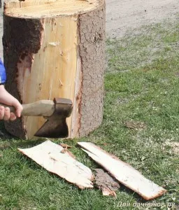 Осъществяване гъби със собствените си ръце