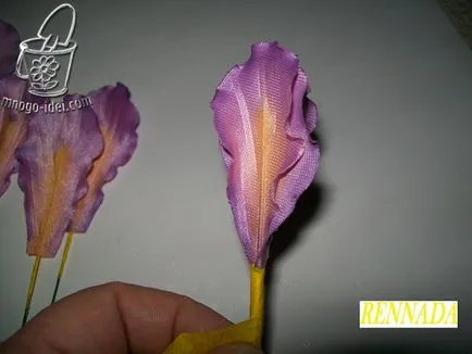 Цветя със собствените си ръце, ирис майсторски клас (цветя) Цветя със собствените си ръце, ирис майсторски клас