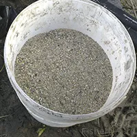 Стръв за шаран правят с ръце, съвети рибари