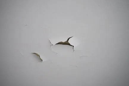 Защо имаме нужда от грунд и какво е то
