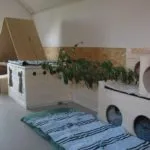 Къщи за инструкции си ръце, рисунки и снимки зайци производителя