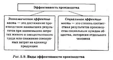 Ефективността на производството, неговата същност, икономически и социални показатели, показатели