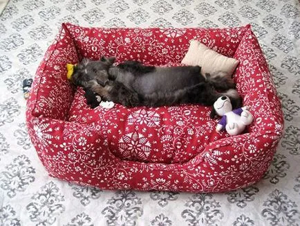 Къща за куче със собствените си ръце - куче в къщата