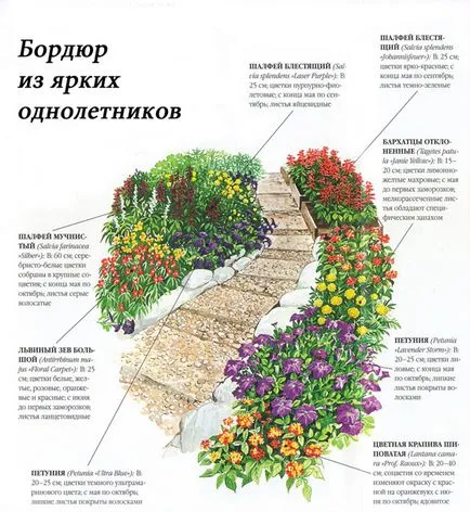 Пистите в градината