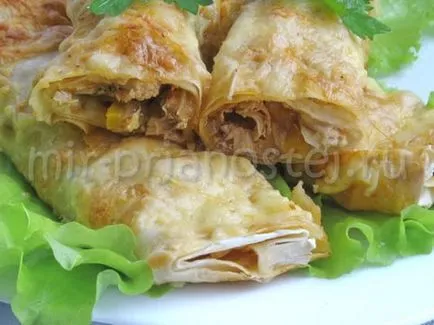 Enchilados с кокошка стъпка рецепта (пилешко) стъпка Enchilados пиле рецепта по стъпка