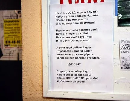 Ако вашият кучешки приятел с радост изведнъж СБАЛ ... 