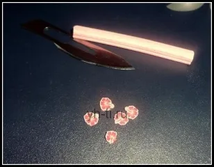 Плодове пръчици Fimo за пирони или как да се направи 3D-маникюр, уау!