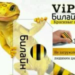 Къде и как да се възстанови най-краткото разстояние на СИМ-картата, чрез интернет или по телефона, ми най-краткото разстояние