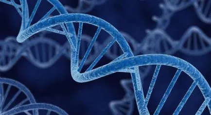Gene, геном, определение хромозома, структура, функция