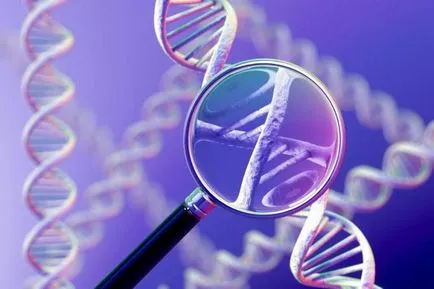 Gene, геном, определение хромозома, структура, функция