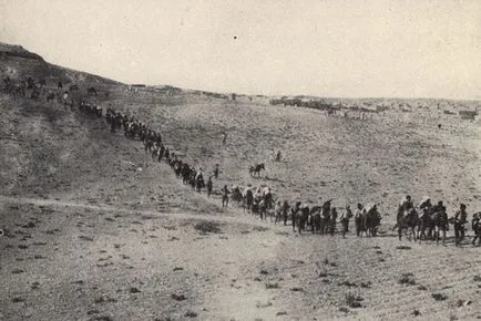 Арменския геноцид от 1915