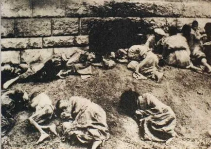 Арменския геноцид от 1915
