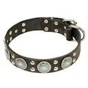 Пазарувайте онлайн fordogtrainers