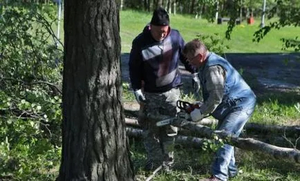 Инструкции за това как правилно да се намали дърво резачка