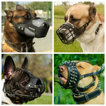 Пазарувайте онлайн fordogtrainers