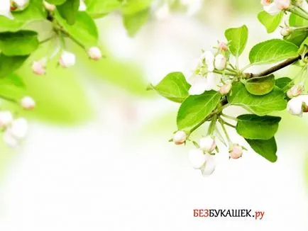 Как за борба с листни въшки на овощни дървета, отколкото за обработка на дърветата от листни въшки
