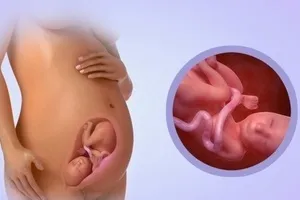 Като диша бебето в утробата развитието на детето