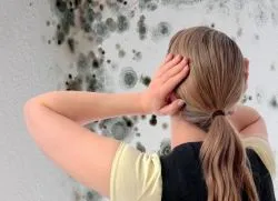 Да се ​​отървем от мухъл по стените
