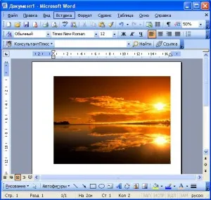 Как да се запишете картината на думата, Word 2003, Word 2007, Word 2010