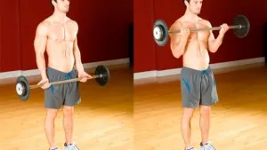 Как да се изгради на бицепс гира и програма за обучение мряна и най-добрите упражнения