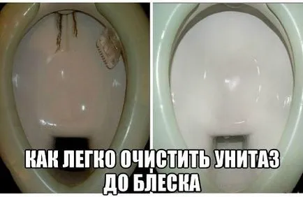 Както лесно се почиства тоалетна