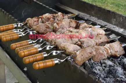 Как да се маринова месото за шиш кебап