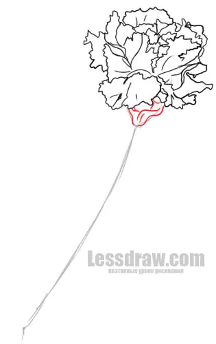 Как да се направи молив карамфил, lessdraw