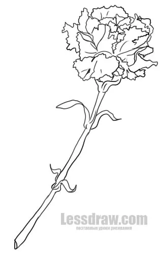 Как да се направи молив карамфил, lessdraw