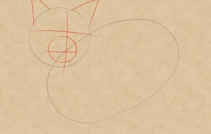 Как да се направи една котка, ако постепенно - лесно!
