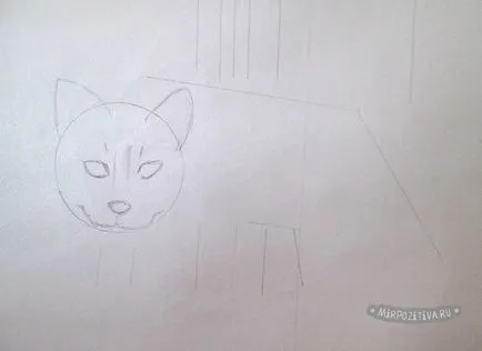 Как да се направи котка с молив на етапи