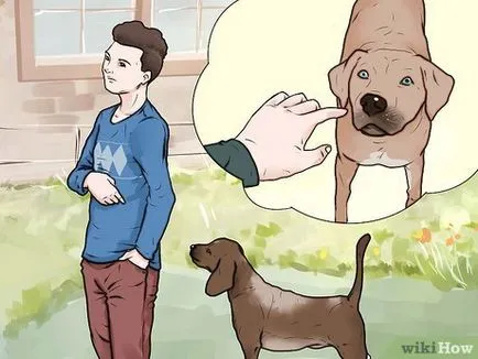 Как да накаже кучето