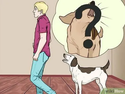 Как да накаже кучето