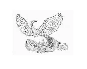 Как да се направи една птица