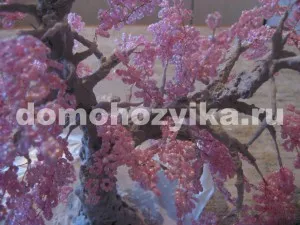 Сакура бисери собствени ръце метод за производство на снимка