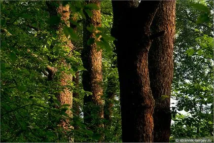 Руската природата 1