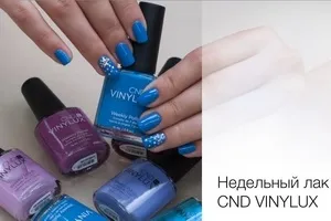 Как да се разграничи от норка кожа от заек тайни за красота