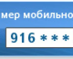 Как да се попълни WebMoney през терминала дали е възможно да се сложи парите в сметката на чантата в България