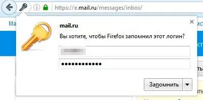 Как да видите паролите mozile прости и подробни инструкции (пароли) Как да видите паролите mozile прости и подробни инструкции