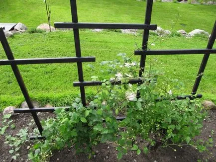 Trellis за увивни растения със собствените си ръце (пергола за увивни растения със собствените си ръце пергола пергола за краставици за малини) Trellis за увивни растения със собствените си ръце