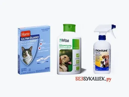 Като самостоятелно унищожи бълхи в апартамент ефективно унищожение (унищожаване на бълхите Апартамент ефективно унищожаване) Като самостоятелно унищожи бълхи в апартамент ефективно унищожение