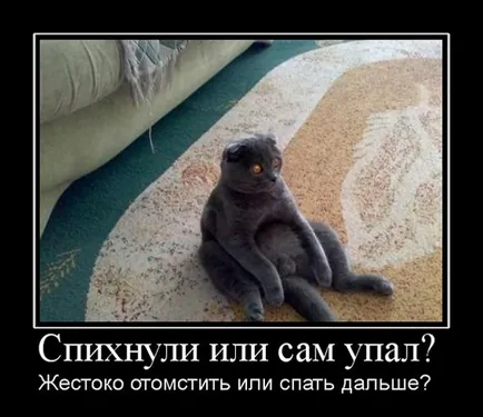 Как demotivator (правя demotivator) Как demotivator