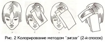 Как да си направим боя за коса в домакински уреди и разликите