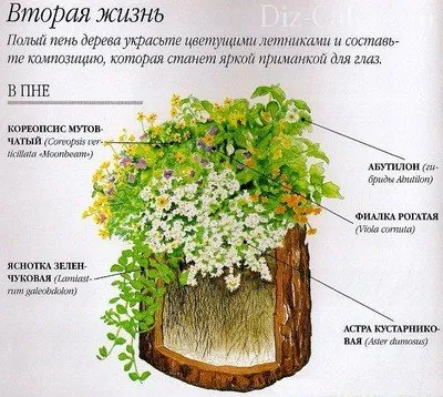 Как да украсят и облагороди пъна в градината със собствените си ръце, които могат да бъдат направени от пъна на вилата
