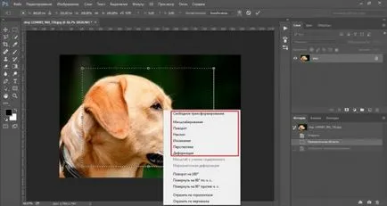 Как да се намали на обекта в Photoshop бързо и професионално
