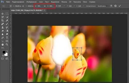 Как да се намали на обекта в Photoshop бързо и професионално